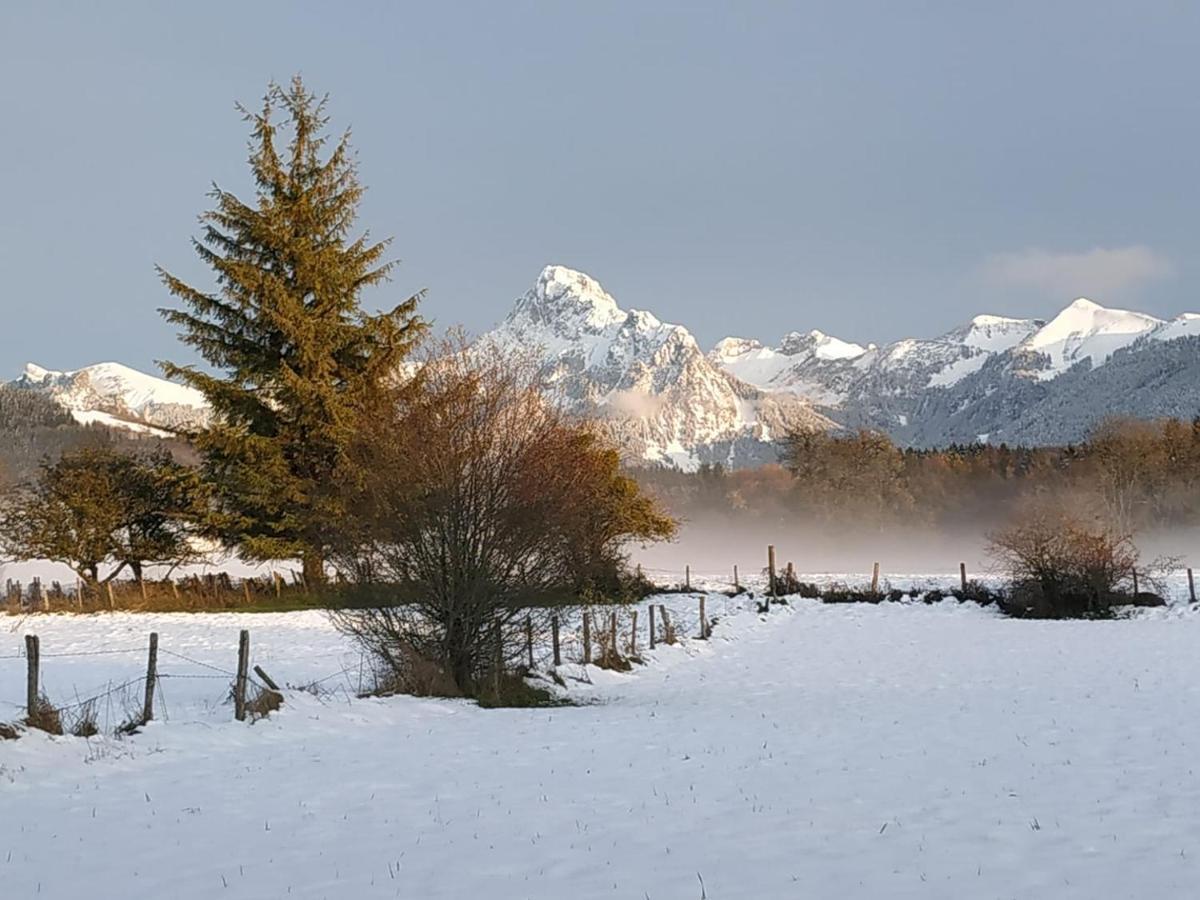 Maison D'Hotes Des Bassins D'Oche Saint-Paul-en-Chablais Εξωτερικό φωτογραφία