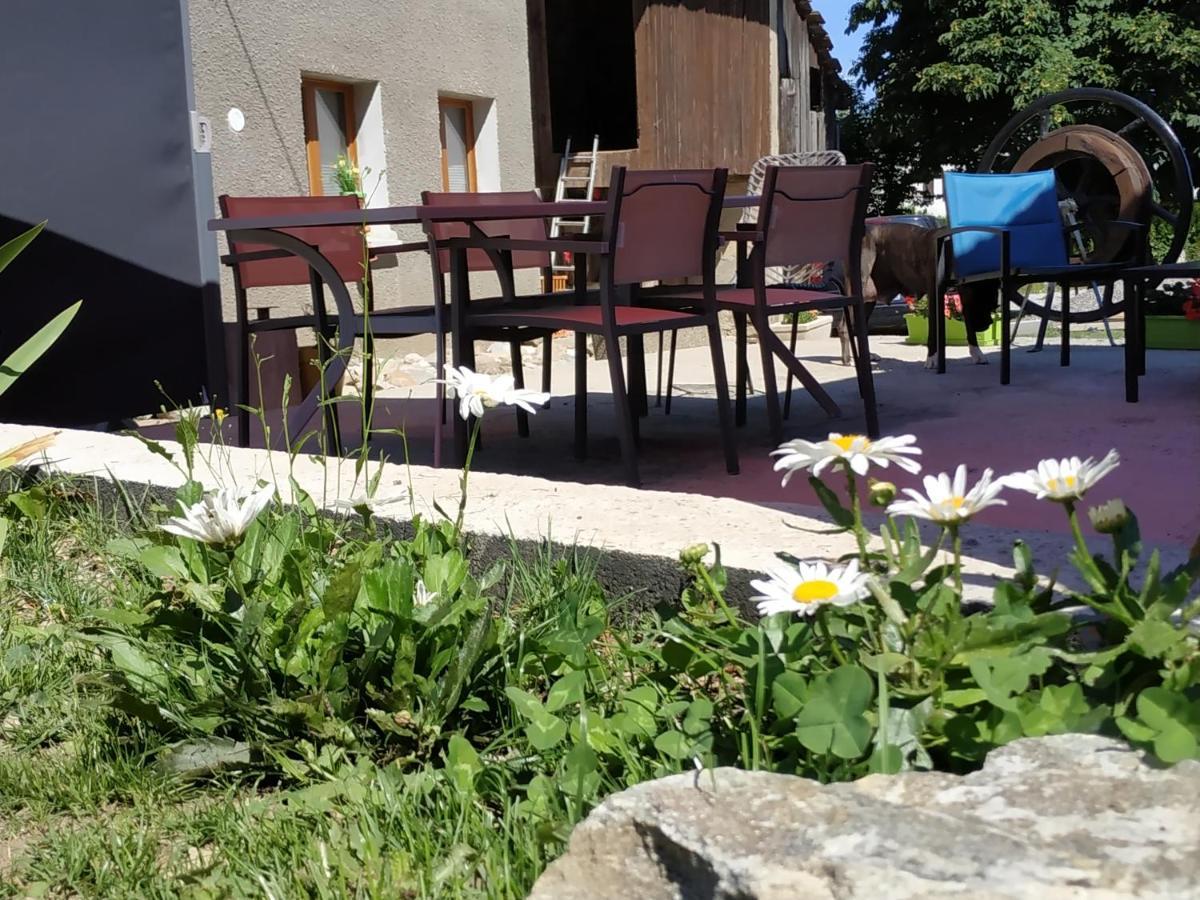 Maison D'Hotes Des Bassins D'Oche Saint-Paul-en-Chablais Εξωτερικό φωτογραφία